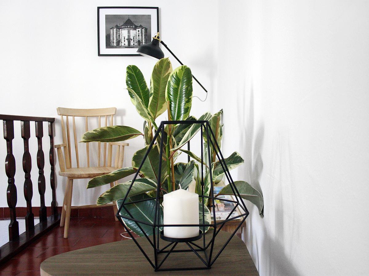 Foral Guest House - Óbidos المظهر الخارجي الصورة